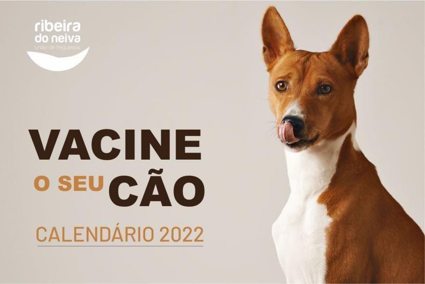 VACINAÇÃO ANTIRRÁBICA - CALENDÁRIO 2022