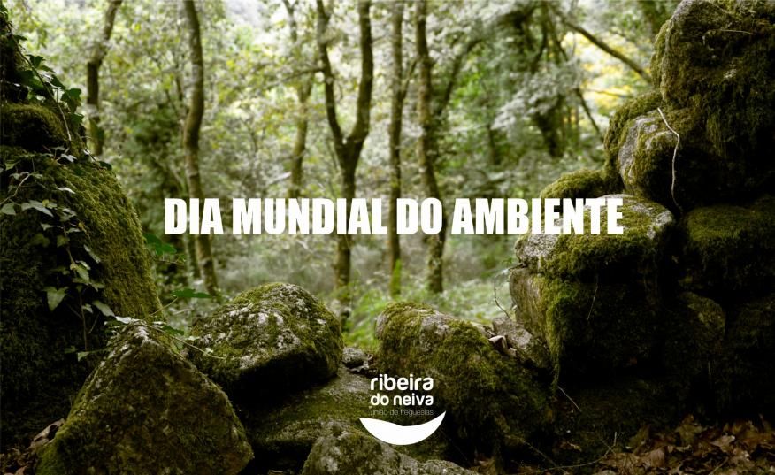 DIA MUNDIAL DO AMBIENTE