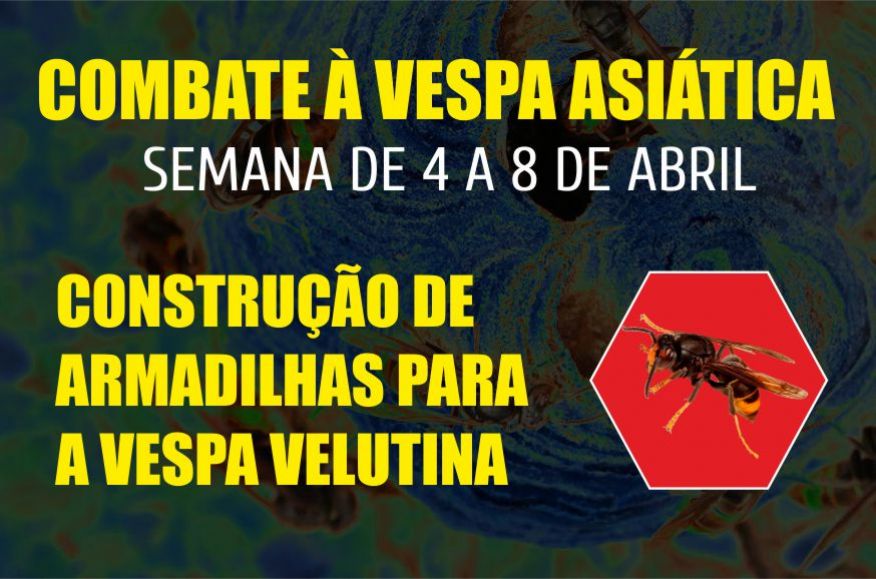 COMBATE À VESPA ASIÁTICA – SEMANA DE 4 A 8 DE ABRIL